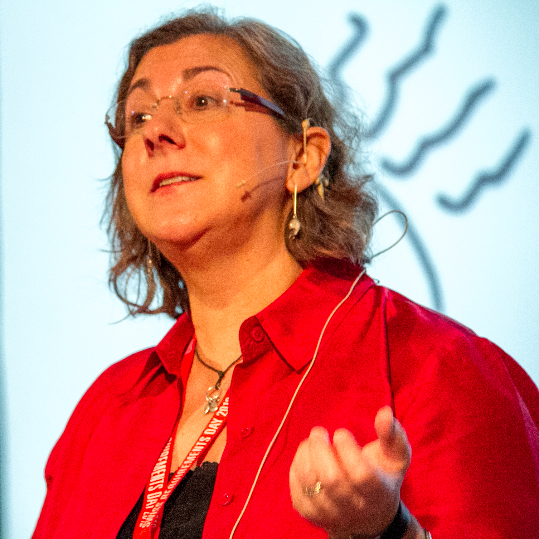 Ellen Gottesdiener speaking at the Swiss Requirements Day 2012